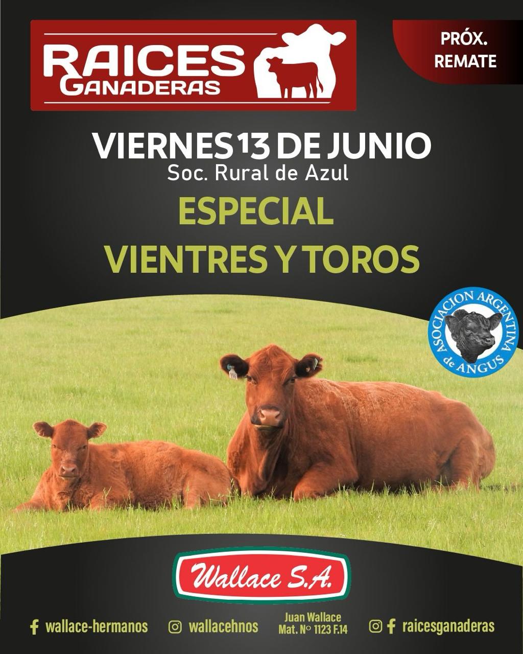 Imagen de Raíces Ganaderas "Vientres y Toros"